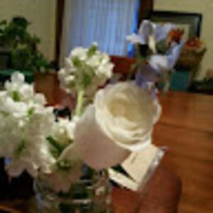 Meet your Posher, Cynthia